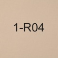 1-R04