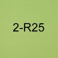 2-R25-big_2.jpg