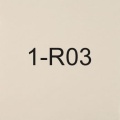 1-R03
