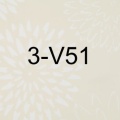 3-V51-big_2.jpg