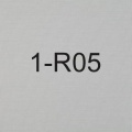 1-R05