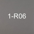 1-R06